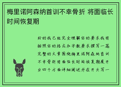 梅里诺阿森纳首训不幸骨折 将面临长时间恢复期